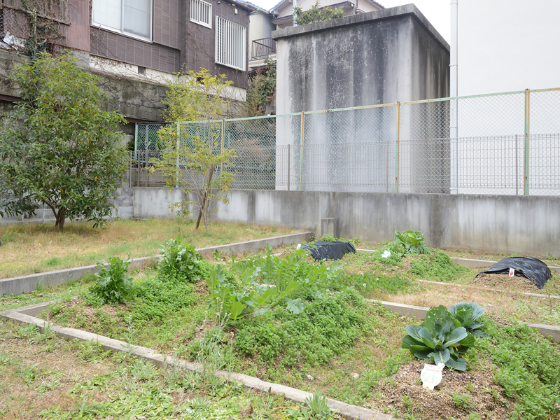 たのしい家藤井寺の玄関